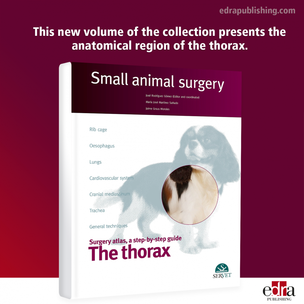 The thorax, Small animal surgery - book details - veterinary book