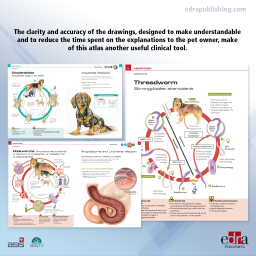 Pet Owner Educational Atlas. Parasites - book extract 2 - veterinary book