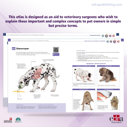 Pet Owner Educational Atlas. Immunology and Transmissible Diseases - Book Extract 1 - Veterinary Book