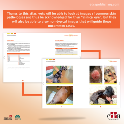Canine and Feline Dermatology Atlas - book extract 2 - veterinary book
