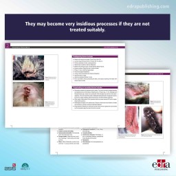 Ear Diseases in Dogs and Cats. Case studies - book extract 2 - veterinary book
